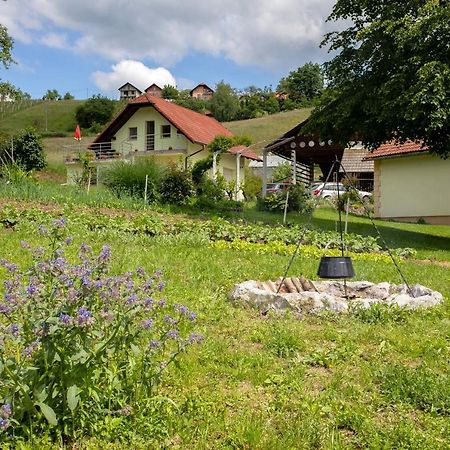 Domacija Vesel Vila Trebnje Exterior foto