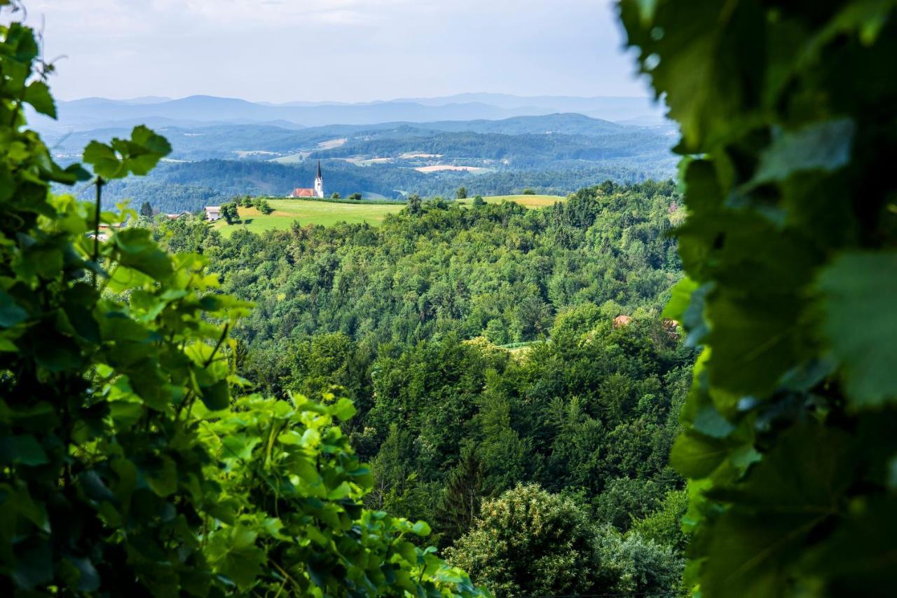 Domacija Vesel Vila Trebnje Exterior foto