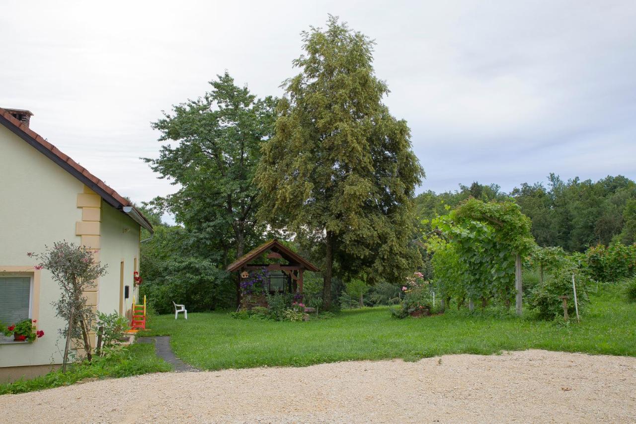 Domacija Vesel Vila Trebnje Exterior foto