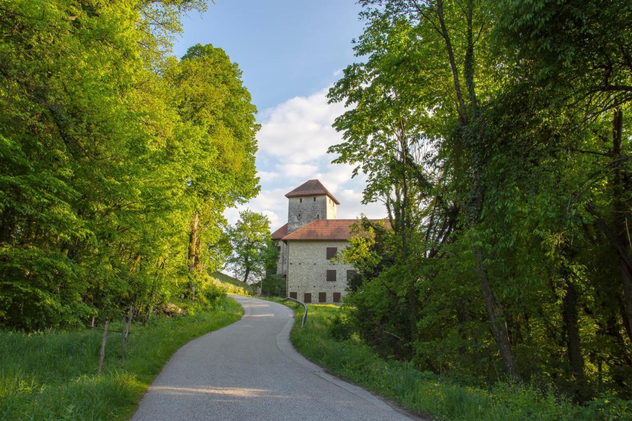 Domacija Vesel Vila Trebnje Exterior foto
